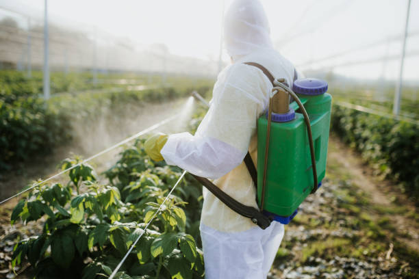 Insect Control in Denton, TX